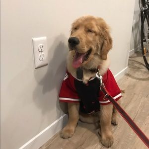 Meet your Posher, Wenyi